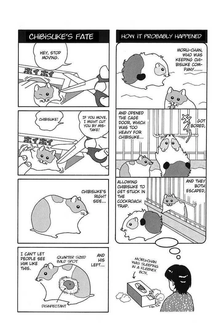 Hamster no Kenkyuu Report Chapter 7 10